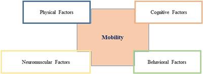 Mobility in Older Community-Dwelling Persons: A Narrative Review